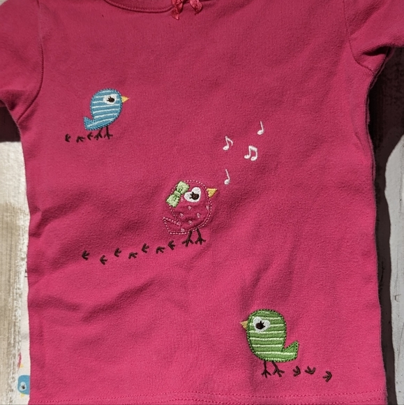 Gymboree 2 piece birdie pattern top with matching bottoms set size 2T. - Picture 3 of 6